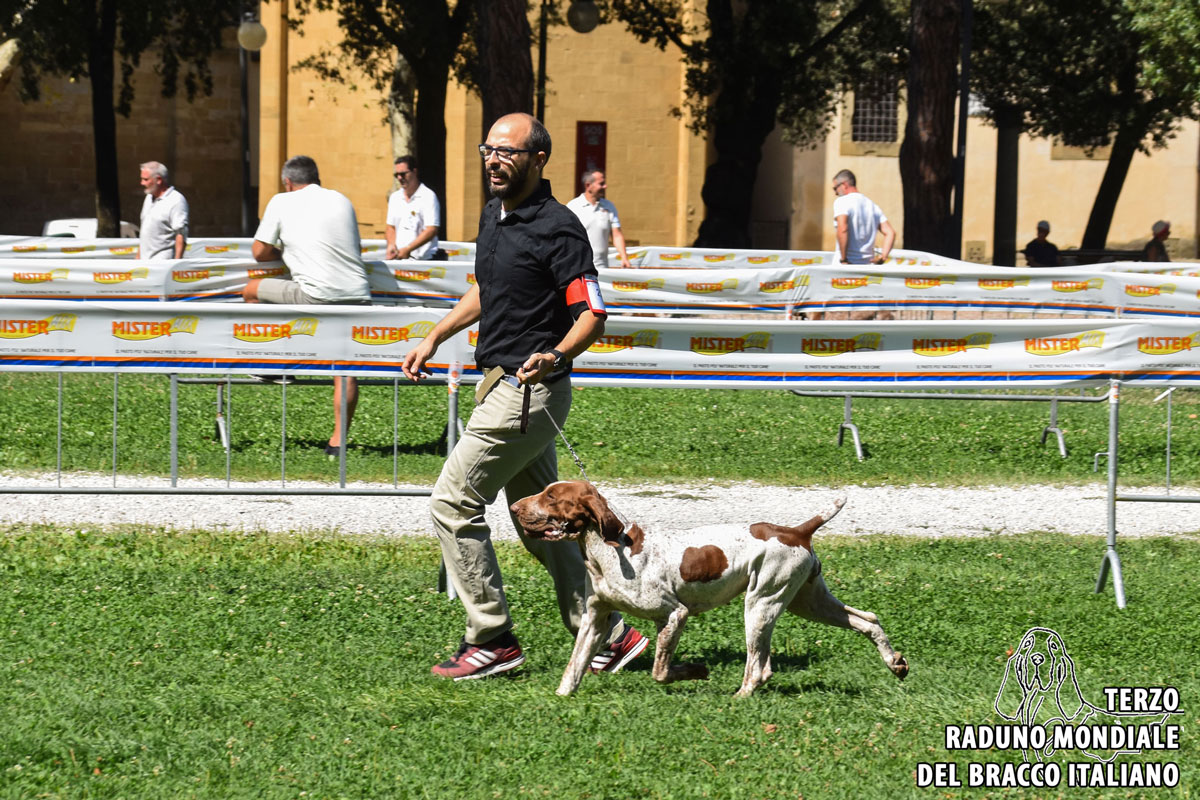 Porzia di Cascina Laghetto 2° ECC cl. Libera