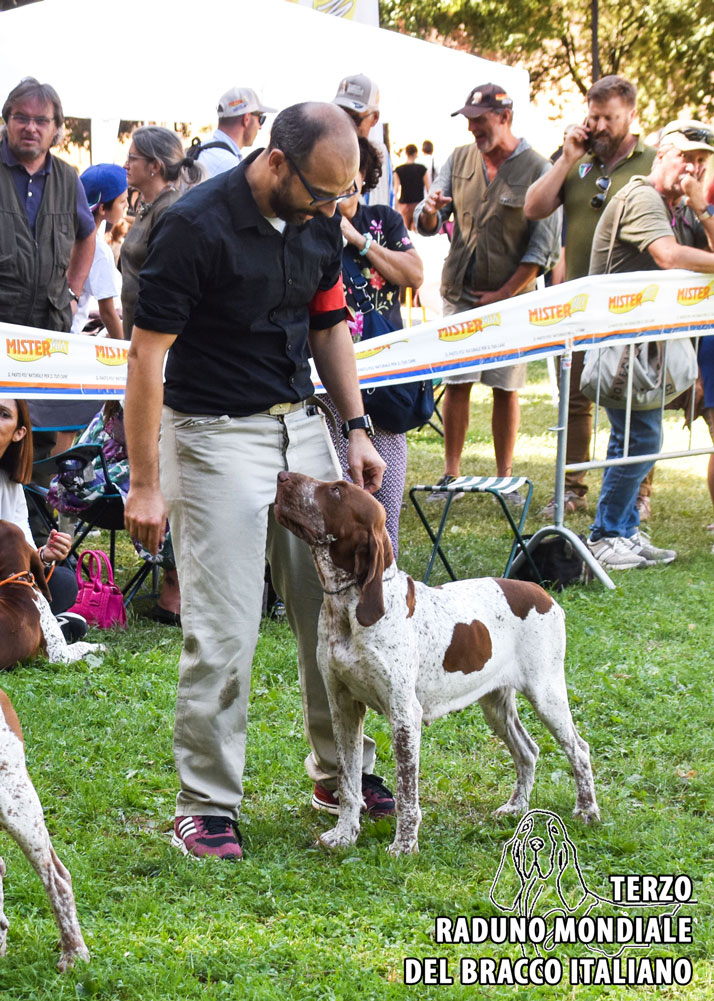 Porzia di Cascina Laghetto 2° ECC cl. Libera