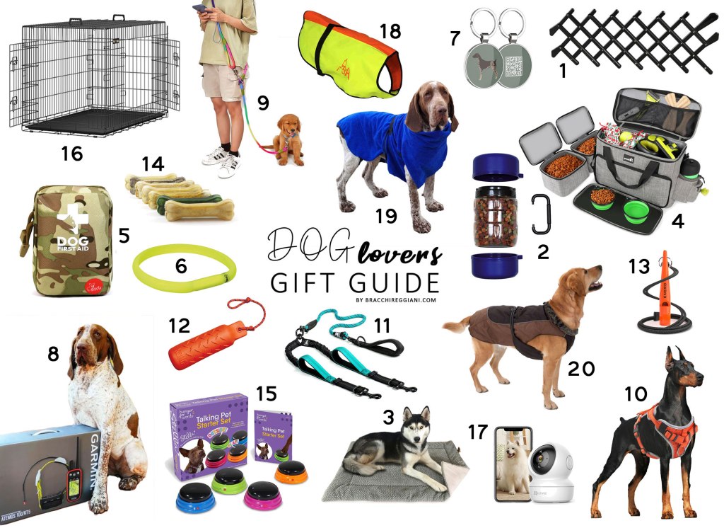 Natale da cani: la gift guide&nbsp;2023!