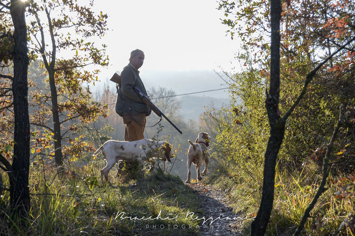 Antonio Ficarelli caccia bracco reggio emilia