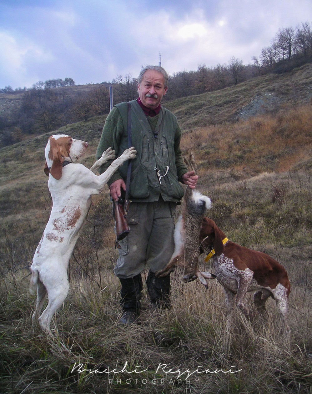 antonio-ficarelli-bracco-italiano-1