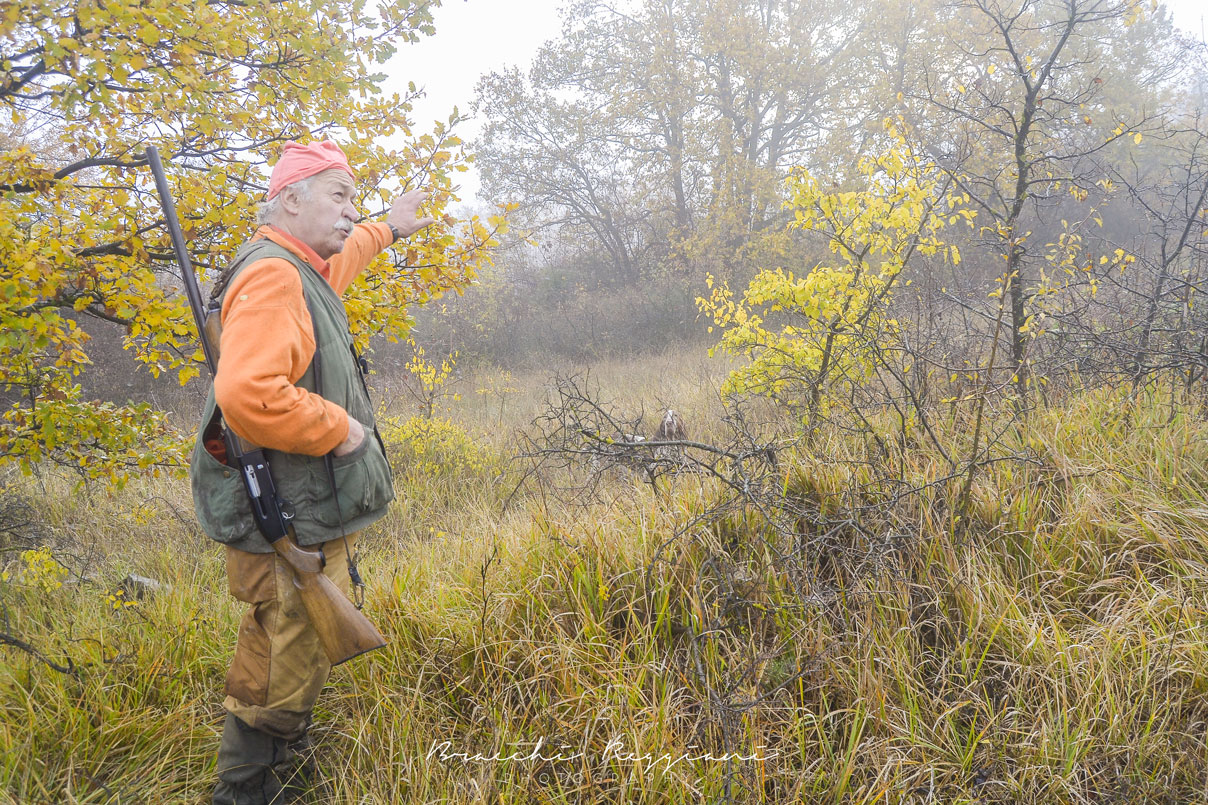 antonio-ficarelli-caccia-bracco