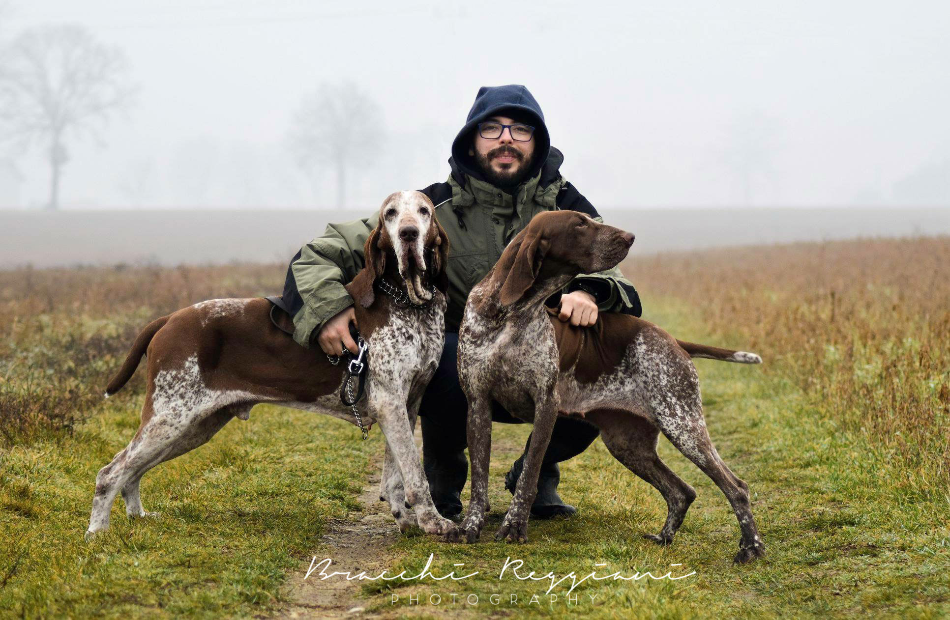 bracco italiano pianura padana