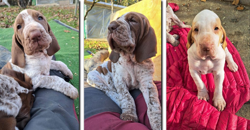 Vi presentiamo: Rea, Marlena &&nbsp;Poetica!